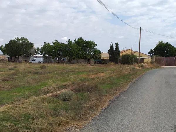 Terreno en carretera Partida Altet s/n