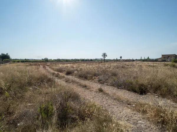 Terreno en alto Partida Torrellano, 1013 a