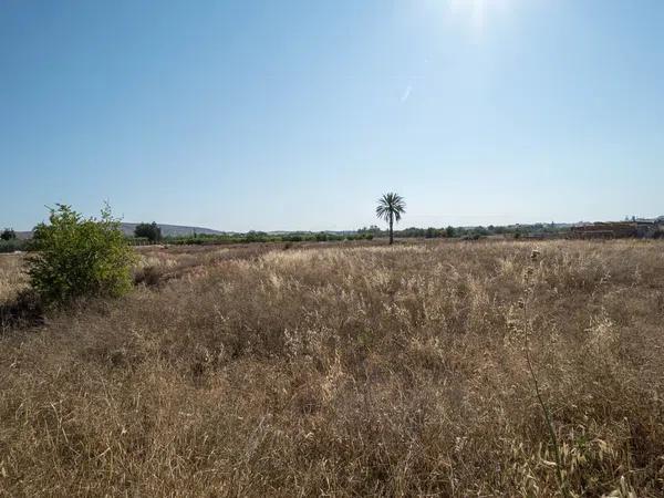 Terreno en alto Partida Torrellano, 1013 a