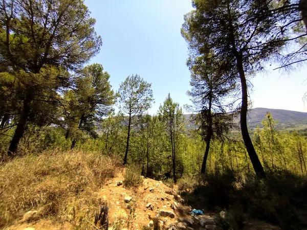 Terreno en Partida Casilla, km 5