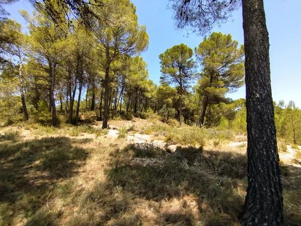 Terreno en Partida Casilla, km 5