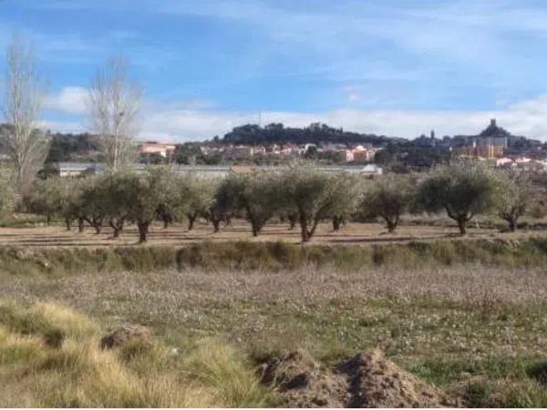 Terreno en bañeres s/n