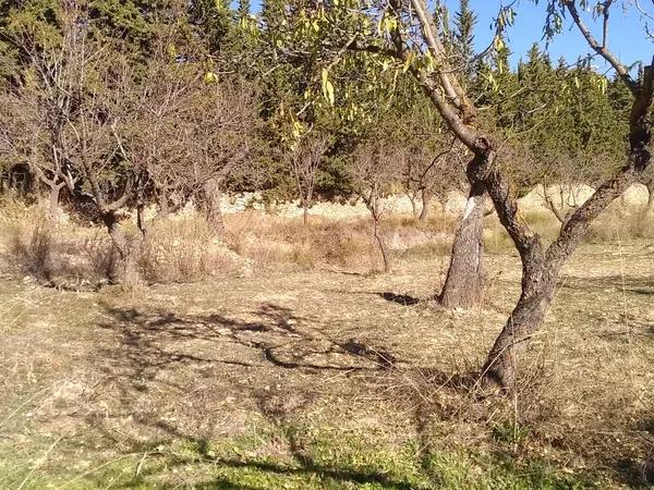 Terreno en calle de la Vila Joiosa, 1