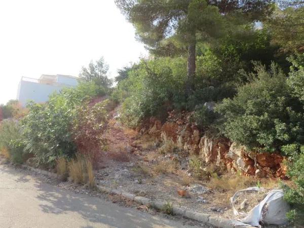 Terreno en La Pedrera-Vessanes