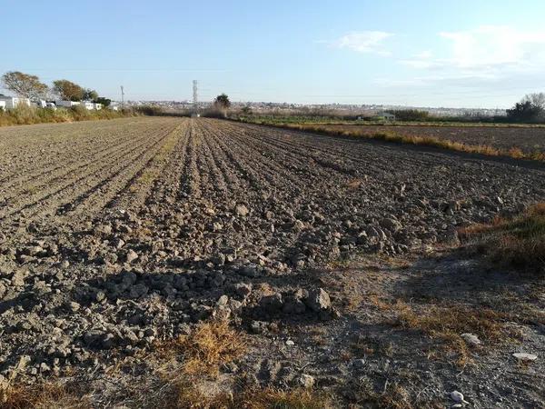 Terreno en avenida Guardamar s/n sn