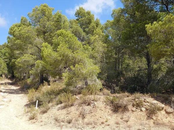 Terreno en Partida Tapiada Marraix, 30