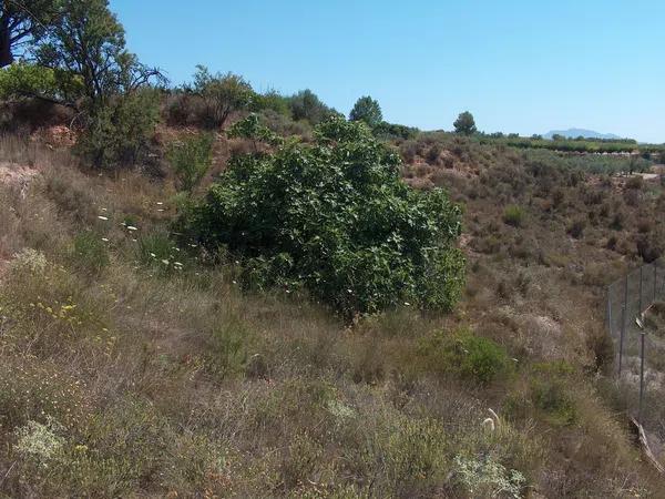 Terreno en camino de la Lloma, 4