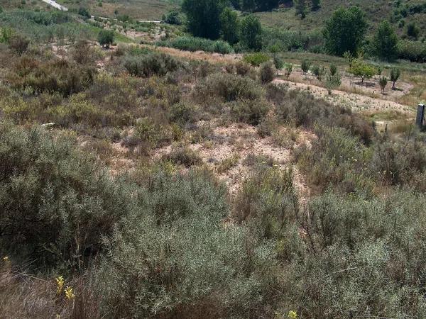 Terreno en camino de la Lloma, 4