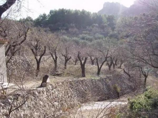 Terreno en calle Sant Antoni, 11