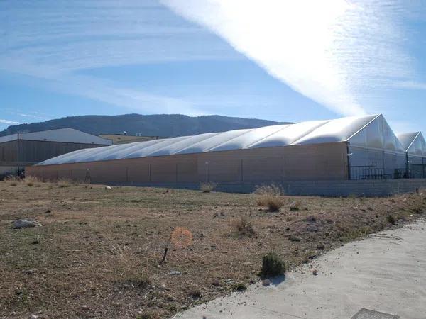 Terreno en polig. els dos pins