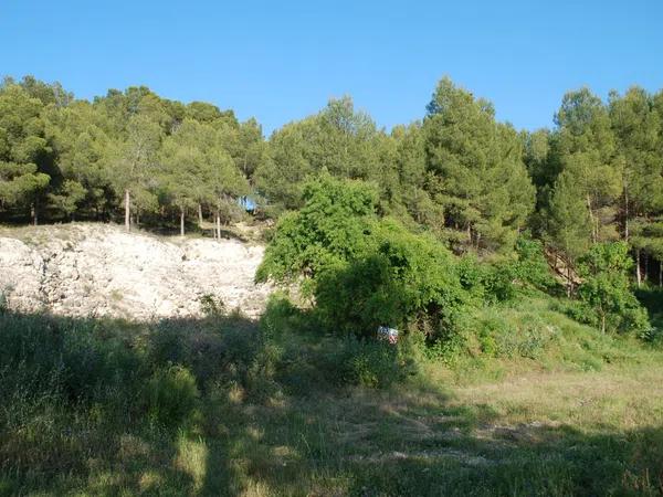 Terreno en camino de la fontasanta