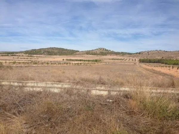 Terreno en el carabasí (los rosales)