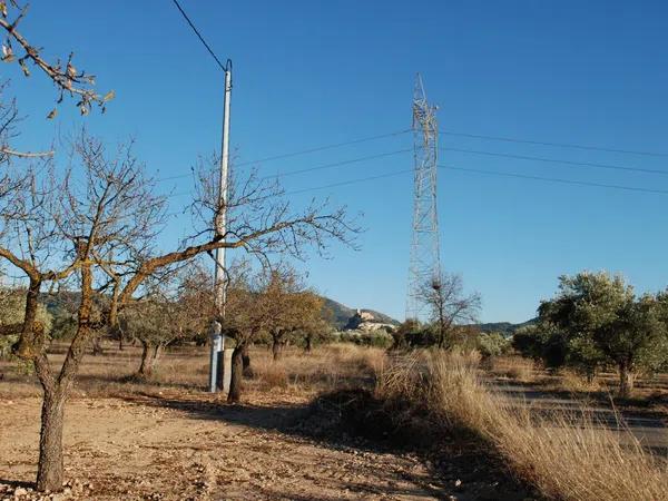 Terreno en zona la lloma