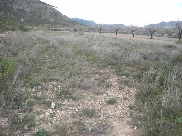 Terreno en Hondón de las Nieves