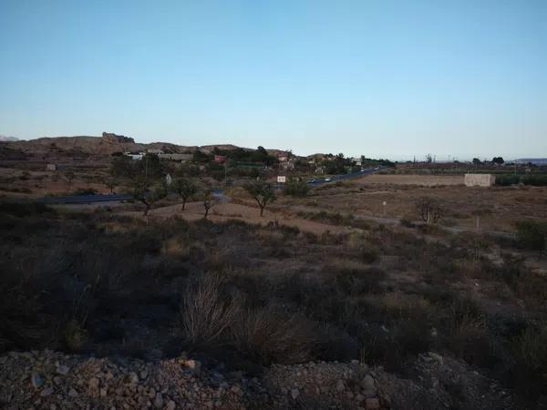 Terreno en partida verdegas, 13