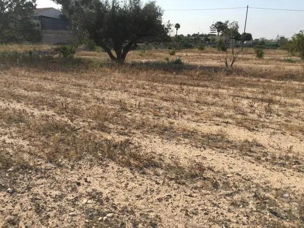 Terreno en Peña de Las Águilas