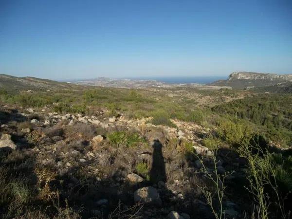 Terreno en Jalón