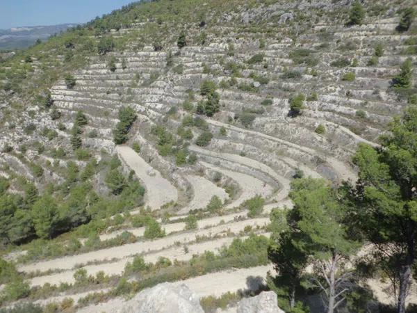 Terreno en partida de la palanqueta, 95 Parcelapolgono