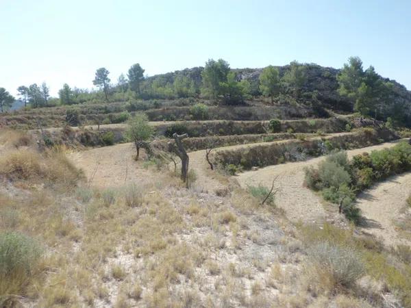 Terreno en partida de la palanqueta, 95 Parcelapolgono