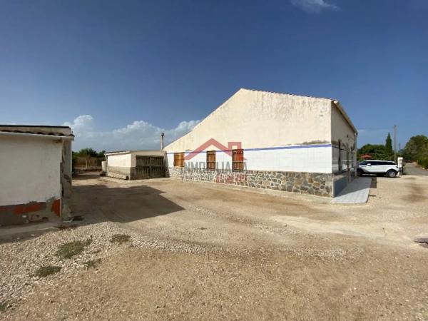 Casa independiente en carretera de Torrellano al Aeropuerto