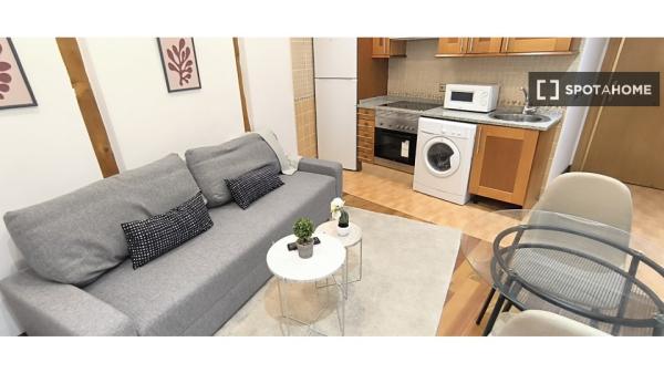 Apartamento moderno en zona Palacio