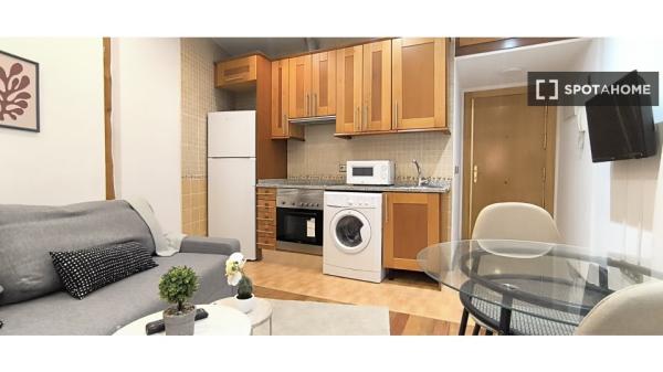 Apartamento moderno en zona Palacio