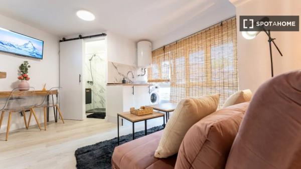 Apartamento tipo estudio en alquiler en Santander, Santander