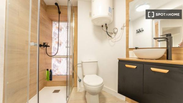 Apartamento tipo estudio en alquiler en Santander, Santander