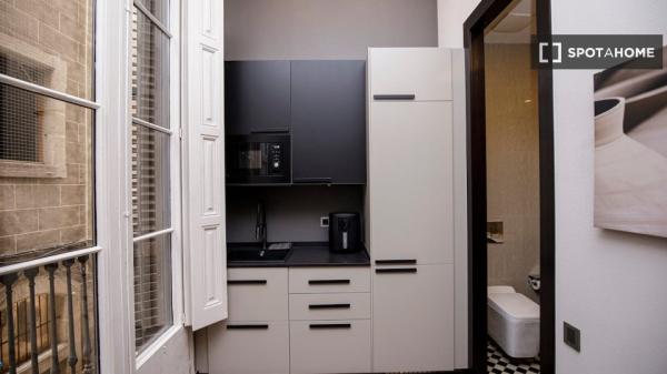 Apartamento de 1 dormitorio en alquiler en Ciutat Vella, Barcelona.