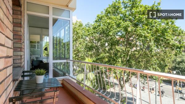 Spacious and comfortable apartment in Eixample Esquerra