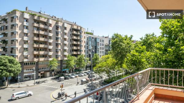 Spacious and comfortable apartment in Eixample Esquerra