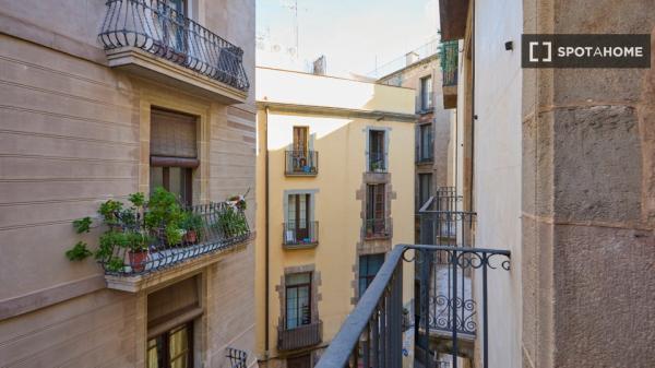 Modern, high standard flat in the Gothic Quarter