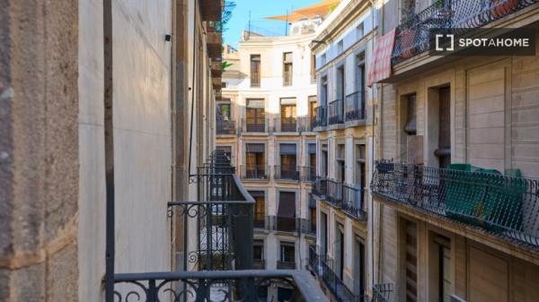 Modern, high standard flat in the Gothic Quarter