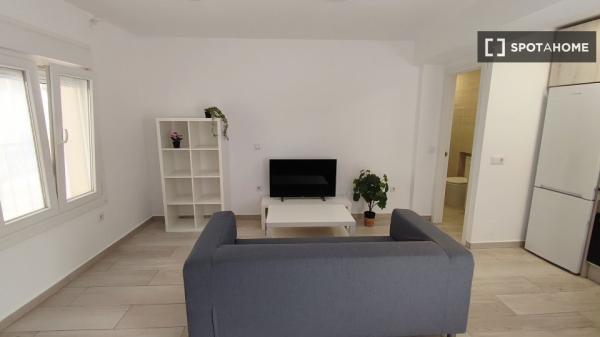 Apartamento entero de 1 habitaciones en Madrid