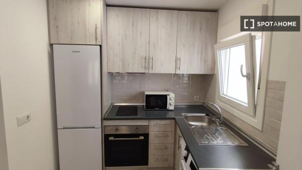 Apartamento entero de 1 habitaciones en Madrid