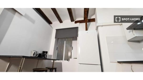 apartamento de 1 dormitorio en alquiler en Ciutat Vella, Valencia