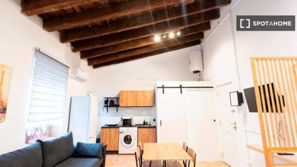 Studio apartment for rent in Ciutat Vella, Valencia