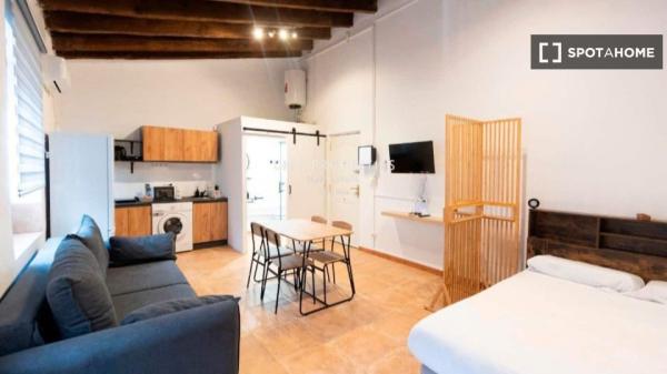 Studio apartment for rent in Ciutat Vella, Valencia