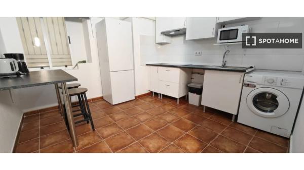 apartamento de 1 dormitorio en alquiler en Ciutat Vella, Valencia