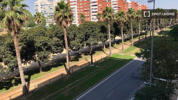 Se alquila habitación en piso de 2 dormitorios en Alicante