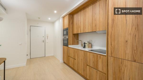 Apartamento de 1 dormitorio en alquiler en Moncloa - Aravaca, Madrid