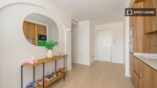 Apartamento de 1 dormitorio en alquiler en Moncloa - Aravaca, Madrid