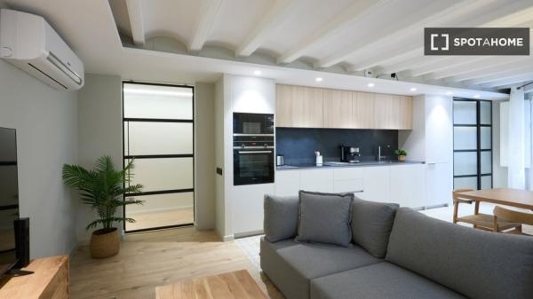 Magnifique appartement tout neuf avec tout le confort dans le quartier gothique