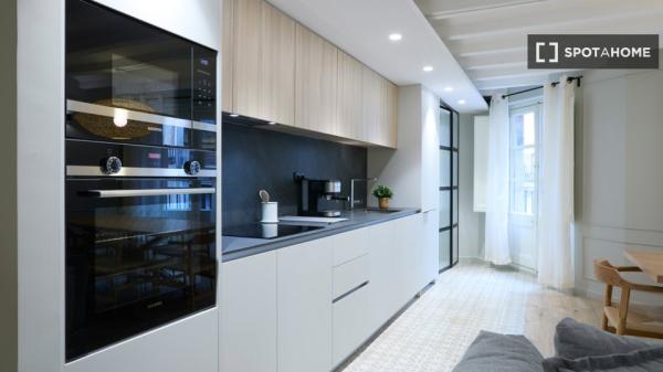 Magnifique appartement tout neuf avec tout le confort dans le quartier gothique