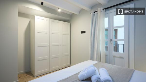 Magnifique appartement tout neuf avec tout le confort dans le quartier gothique