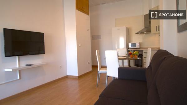 Whole 1 bedrooms apartment in València