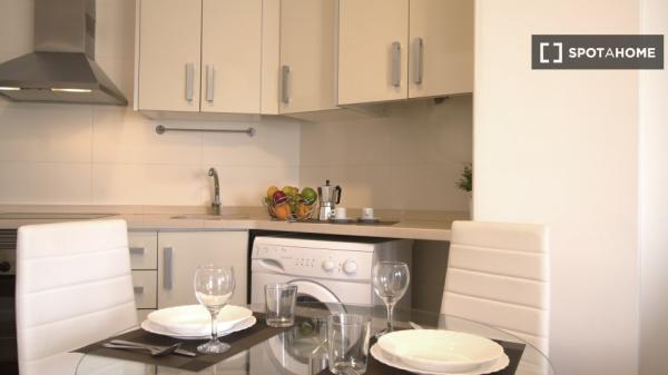 Whole 1 bedrooms apartment in València