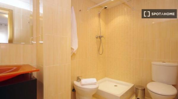 Whole 1 bedrooms apartment in València