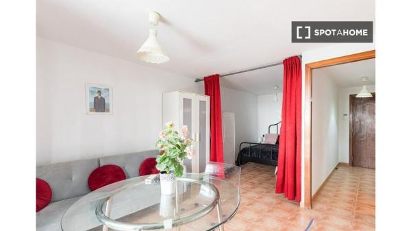 Apartamento entero de 1 dormitorio en Barcelona