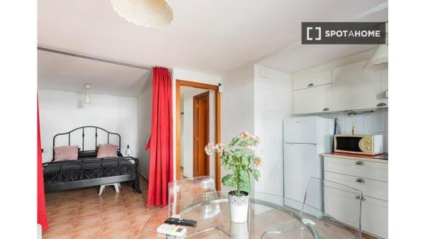 Apartamento entero de 1 dormitorio en Barcelona